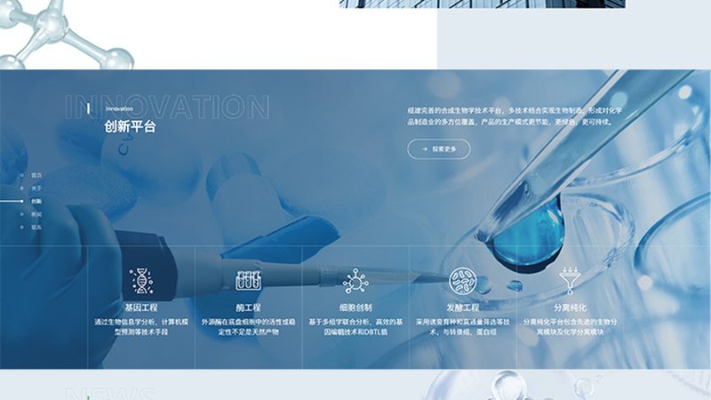 揭秘CDMO服务流程：项目管理中的关键环节