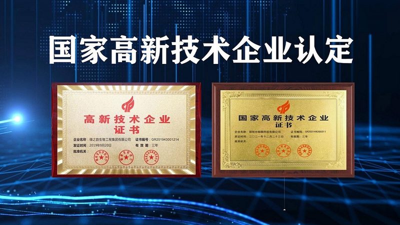 CDMO项目定制流程：揭秘医药研发的“幕后推手