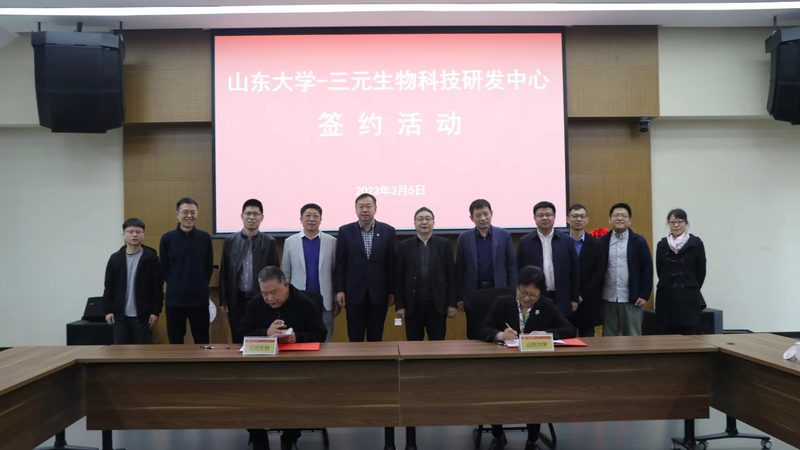 化药CDMO企业规模排名：揭秘行业格局与未来趋势**