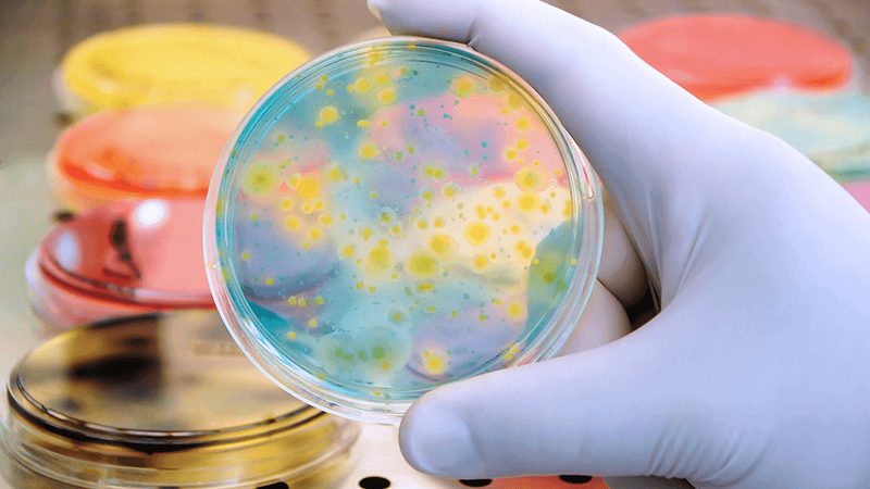 生物医药研发外包代理加盟：揭秘行业趋势与选择要点