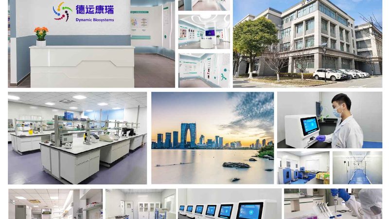 宠物PCR检测：如何选择合适的仪器型号**