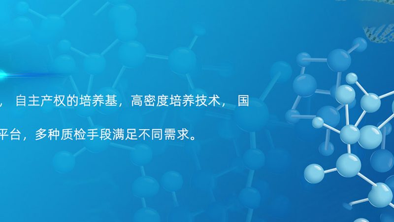 无血清细胞培养基：研发路上的关键伴侣