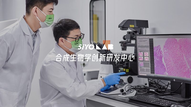 RNA提取试剂盒在动物组织中的应用：操作步骤详解**