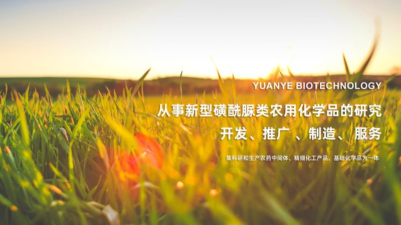 造纸用酶制剂：揭秘其优缺点与行业应用**