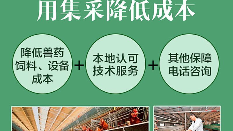 通用引物定制，揭秘精准科研的幕后英雄**