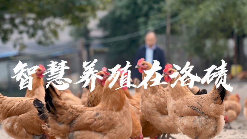 细胞工厂定制方案：如何打造高效、合规的生产平台