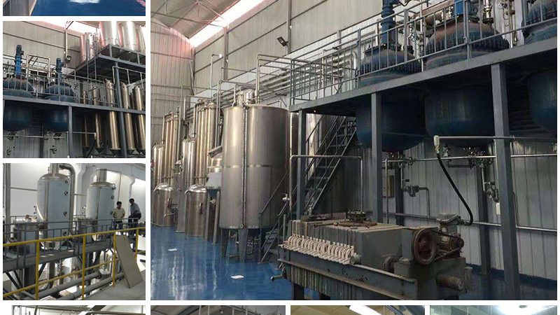CDMO质量体系认证：揭秘生物医药行业的品质保障密码