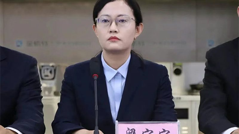北京CDMO工艺流程：揭秘药物研发背后的精密操作**