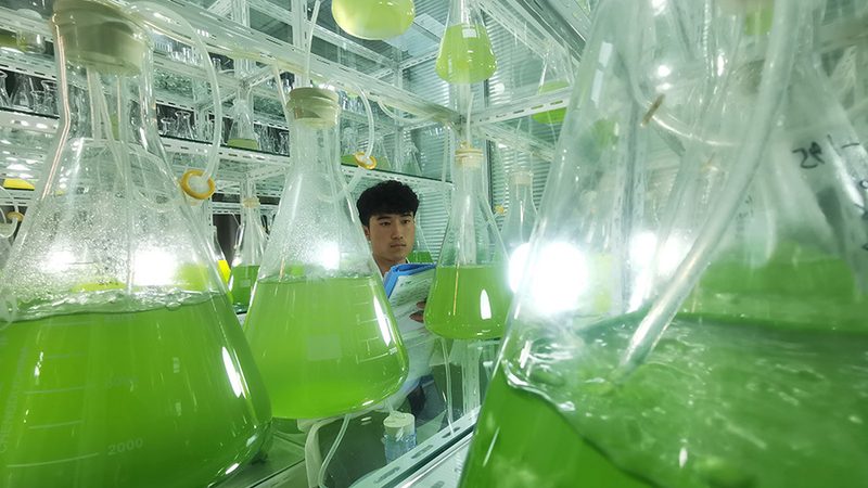 广州细胞培养基现货供应，如何挑选合适的产品？**